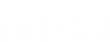 DZ Fit Tea